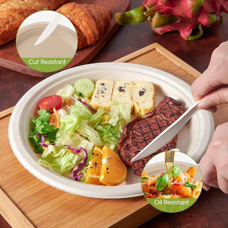 sugarcane plates 9inch